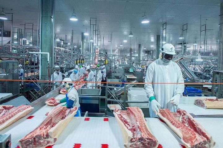 Curso NR36 Frigorífico Abate e Processamento de Carnes Segurança Tecnoseg